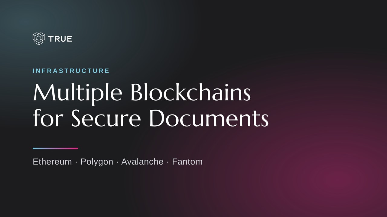 true original use several blockchains to secure official documents hero.jpg?v=2
