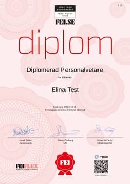 Diplom, FEI - Företagsekonomiska Institutet