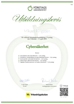 Utbildningsbevis, Företagsuniversitetet YH
