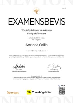 Examensbevis, Newton