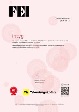 Studieintyg, FEI - Företagsekonomiska Institutet