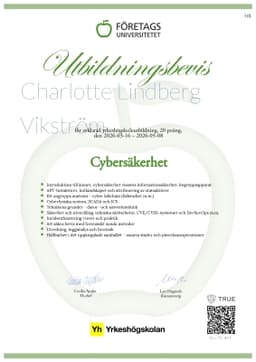 Utbildningsbevis, Företagsuniversitetet YH
