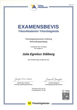 Examensbevis, YH Akademin - (YA)
