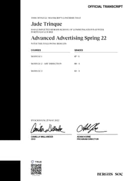 OFFICIAL TRANSCRIPT, Berghs School of Communication
